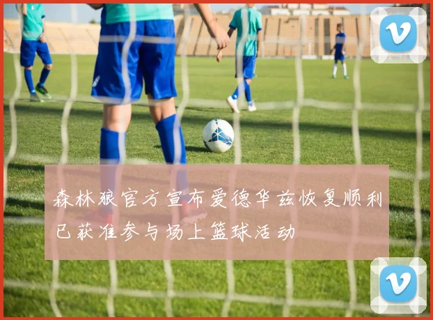 森林狼官方宣布爱德华兹恢复顺利已获准参与场上篮球活动