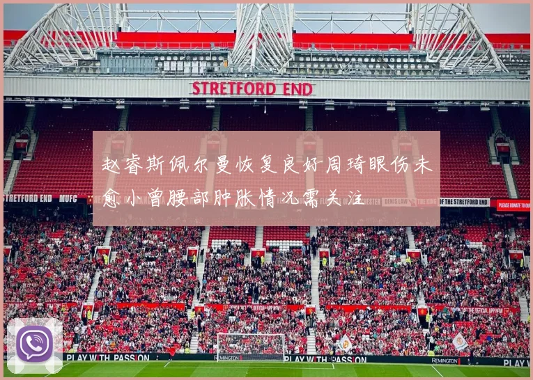 赵睿斯佩尔曼恢复良好周琦眼伤未愈小曾腰部肿胀情况需关注