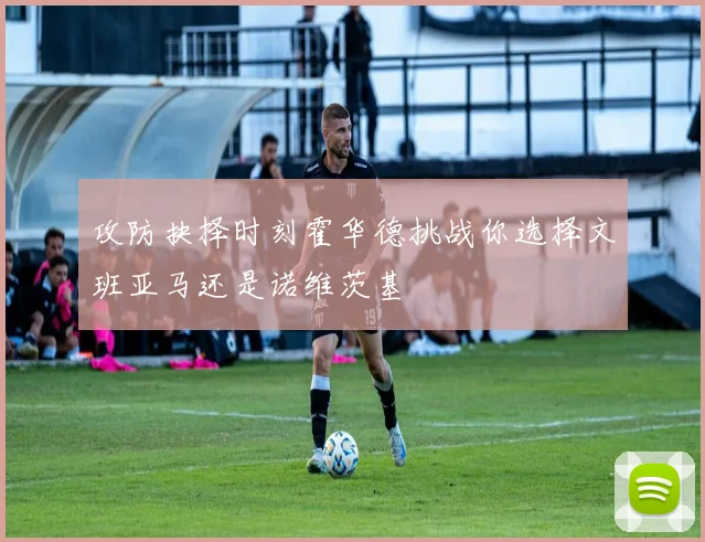 攻防抉择时刻霍华德挑战你选择文班亚马还是诺维茨基