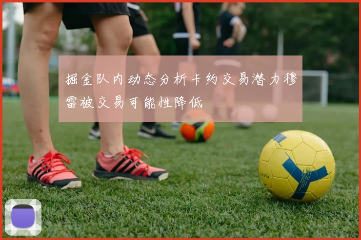 掘金队内动态分析卡约交易潜力穆雷被交易可能性降低