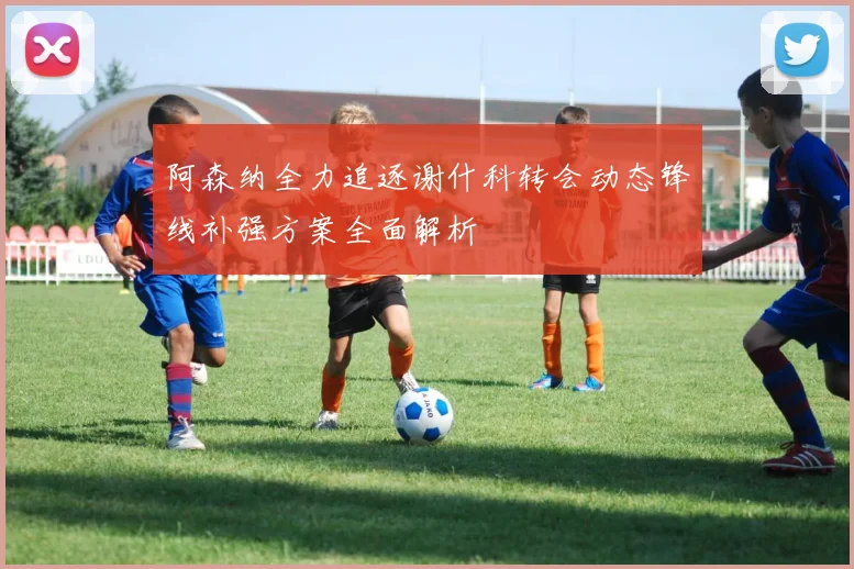 阿森纳全力追逐谢什科转会动态锋线补强方案全面解析